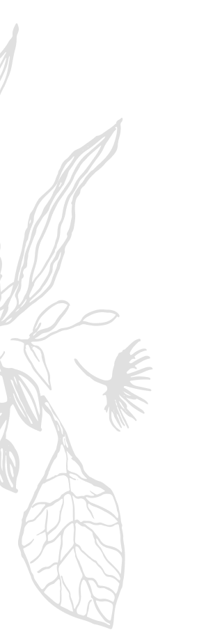 bg img prod 1